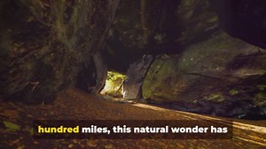 Exploring The Wonders Of Mammoth Cave National Park