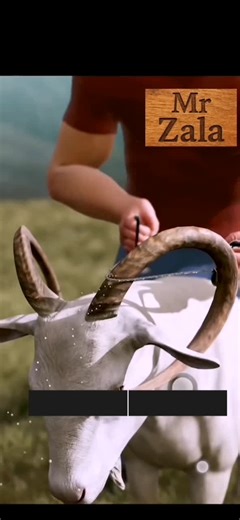 The goat horn #foryoupage #mrzala