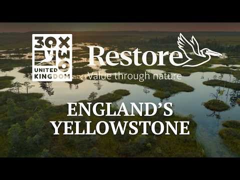 England's Yellowstone: Nature-positive business leadership opportunity