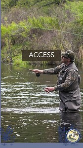 264 reactions · 22 shares | When you buy a 2024 Fishing License, you support wildlife conservation in Massachusetts. MassWildlife uses proceeds from licenses to protect, manage and stock fish, hold fishing clinics and much more. | Massachusetts Division of Fisheries & Wildlife | Facebook