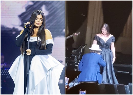 Momente emoționante la concertul lui Al Bano, de la Sala Palatului. Celebrul artist s-a așezat în genunchi în fața Paulei Seling și i-a pupat mâna. Ce piese au cântat împreună