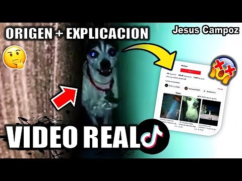 Hola Juan Carlos como estas chupapi VIDEO ORIGINAL COMPLETO + EXPLICACION | Origen meme viral TikTok