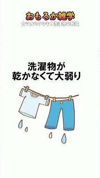 【気になる雑学】カツオのタタキはなぜ皮を焼く？洗濯物の乾燥の違いは【豆知識 トリビア 教養 おもしろい】＃shorts