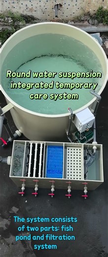 #koifish #fishing #farming #fish tank