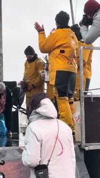 TROPHÉE JULES VERNE Elles arrivent quai Malbert au port de Brest ce lundi 26 janvier 2026