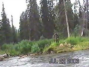 GRIZZLY VS 338 MAG , TALKEETNA ,ALASKA