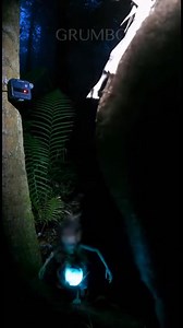 9.1K views · 121 reactions | Deep in a midnight jungle, a shocking sight appears—a mysterious creature riding a pig. Captured like real footage, this eerie moment will leave you questioning reality. Watch till the end  #mysteriouscreature #midnightjungle #creepyvideo #aihorror #shockingreel #junglehorror #viralreels #facebookreels | Grumbo | Facebook