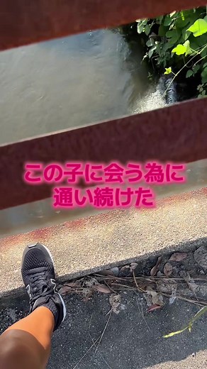 居心地の良い生き物たちとの出会い