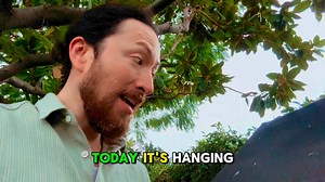 The Habertat has 🐝 🦝 possums 🐈 🐿️ 🦅 and now...🦋 Just tryin' to take care of ALL the inhabitants of the neighborhood...tryin' to be @beahumanebeing @the.humane.beings @the_humane_beings | Todd Haberkorn