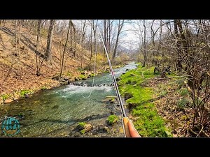 My New Personal Best Trout?? (Tenkara Fly Fishing for Rainbow Trout)