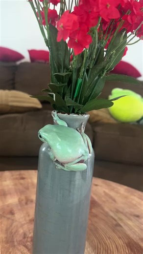 This is a little frog boy. He’s very naughty and always jumping around, but I love his beautiful colors. 🐸#pet #frog