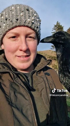 Understanding Fable's Life in Falconry explained by Falconry and me