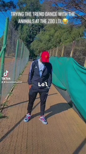 Dancing with Animals at the Zoo