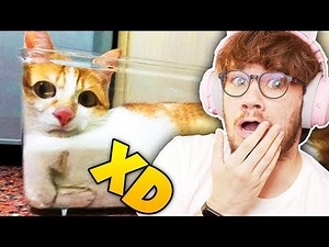 SPRÓBUJ SIE NIE ZAŚMIAĆ - ZNIECZULENIE EDITION XD