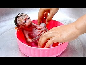 [ SHARPLY CRYING ] Small Dody cry extremely loudly temper seizure in bowl during mom put him to wait