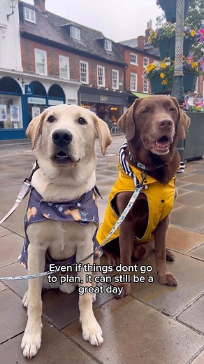 844K views · 10K reactions | Mr. Ice Cream man is officially cancelled ❌ In over a whole year of doing these videos, this is the first time it has ever not gone to plan! 藍 But the boys still had the best day ever, we could all learn that lesson from Ollie & Tates. And yes, I promised them that we’d find some ice cream soon  | Good Boy Ollie | Facebook