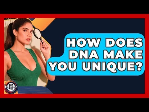 How Does DNA Make You Unique? - The Everyday Why