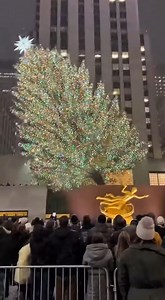 Historic accident: the Christmas tree at Rockefeller Center falls | Alex P