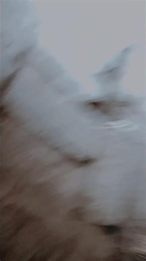 #song #lovesong #love