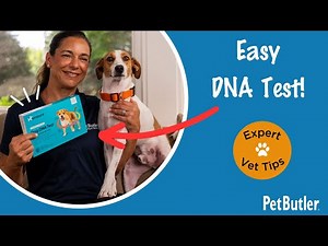 How to Do a Dog DNA Test in 5 Minutes