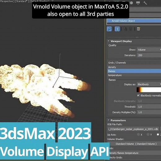 3dsMax 2023 - Volume Display API