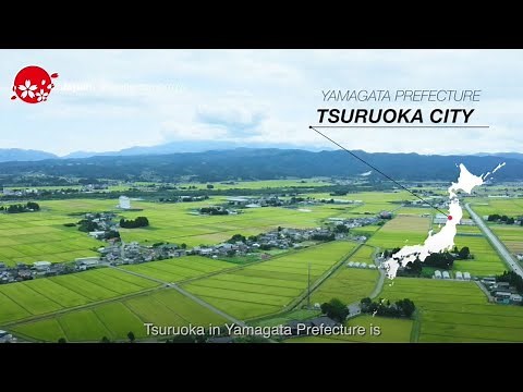 Regional Revitalization: Through the Power of Ventures