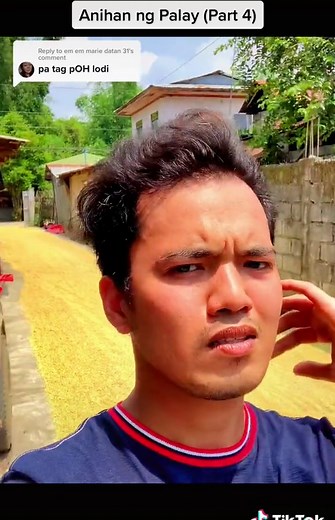 Anihan ng Palay (Part 4) - Tips sa Pagbibilad ng Palay