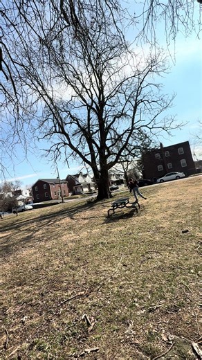 Decent Idea With a Table #acrobatics #flip #shorts #stunts #parkour