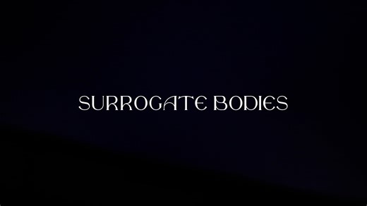 'Surrogate Bodies' - Video Documentation