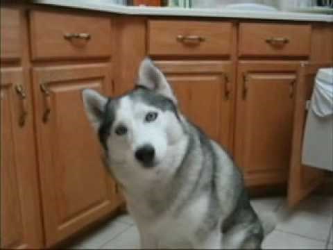 Crystal sings Happy Birthday