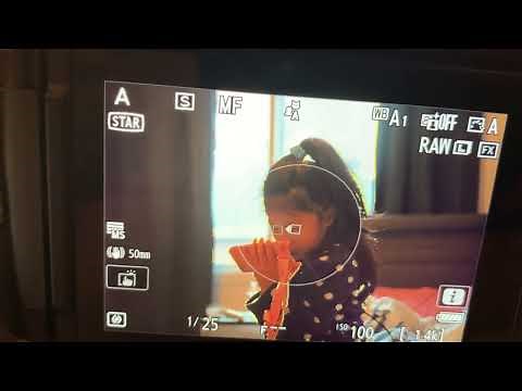 Nikon Zf manual focus lens subject detection (with captions)