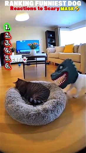 ranking funniest dog reaction to scary mask 😂#HilariousPets #ComedyClips #DogLovers #LOL #funny