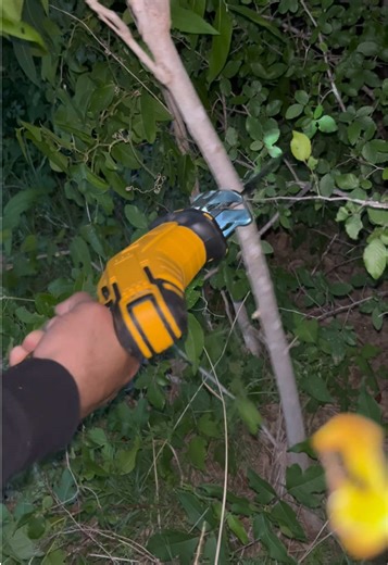 Cordless Reciprocating Saw with 2 Batteries & Charger, 4 Blades - Variable Speed, Ergonomic Grip, Lightweight , Self-Locking Chuck for Wood/ Metal/ PVC Cutting -Outdoor Garden DIY Tool, Modern Tool Design Home decoration