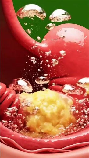 Inside human body | 3d human body