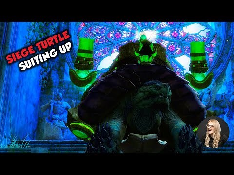 GW2 Suiting Up (SIEGE TURTLE Guide Part 2)