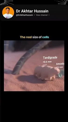 🔬 How Big Are Human Cells? | Mind-Blowing Science Facts
