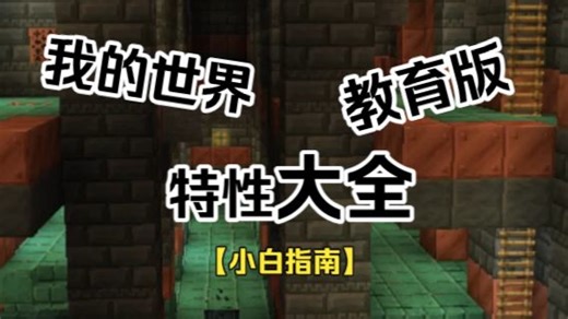【我的世界】超详细【小白指南】第1集—教育版特性讲解