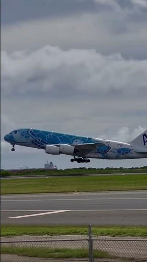 RARE ANA A380 “Blue Turtle” Livery Ever Seen! 😳🐢 #Shorts 🔥