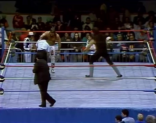 ⚰️ WWF Title Match — Rare Gem from 1991! ⚰️ From WWF Hamilton, Ontario – November 30, 1991 🇨🇦 🏆 WWF Champion The Undertaker vs 💪 The British Bulldog A rare title defense from The Undertaker’s first reign, taking place between Survivor Series ‘91 and Tuesday in Texas — a true piece of wrestling history! 🕯️ #WWF #WWE #TheUndertaker #BritishBulldog #WWFChampionship #Throwback #ProWrestling #1991 #WrestlingHistory #Deadman #SurvivorSeries | The Chronicles Of Wrestling