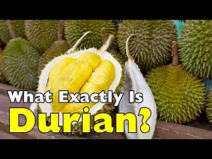 What Exactly Is Durian? The King of Fruits Explained [ID0906]