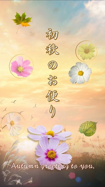 コスモスと秋空で「初秋のお便り」 #shorts #greeting #秋 ＃秋空 #秋の花 #コスモス #桔梗 #彼岸花 #紅葉 #月 #お月見 #秋のお便り #お便り #癒し