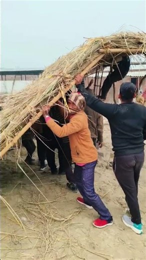 Dil to pagal hai... #viral #villagerlifestyle #village #life #love #lovestatus #youbuteshort #shorts