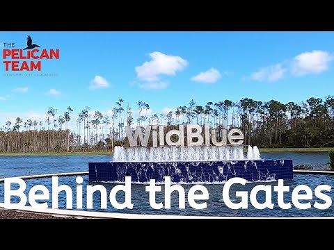 WildBlue Estero - Behind the Gates of Wild Blue in Fort Myers, Florida ☀️ 🌴 🚤