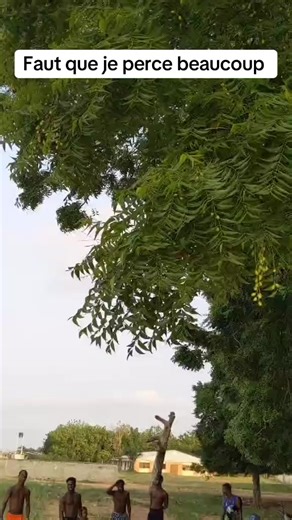 acrobatie (@acroboy28)’s videos with son original - acrobatie