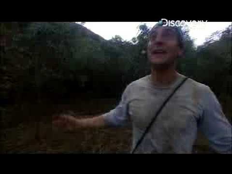Man vs. Wild - Australia Thunderstorms