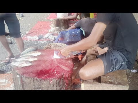 Fast & Perfect Tilapia Fish Cutting Technique for Beginners | Expert Market Skills