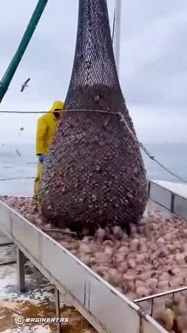 Impressive Work Hacks: Skilled Workers Perfecting Every Task