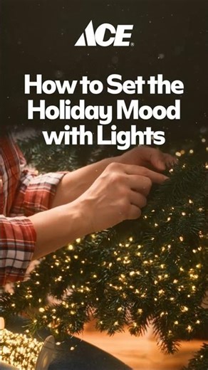 How to Set the Holiday Mood with Lights