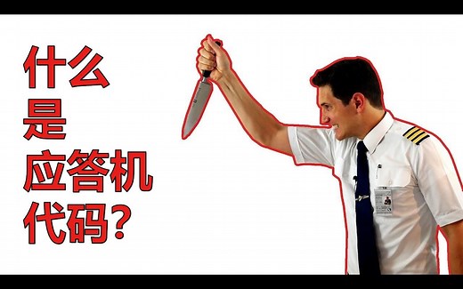 【Captain Joe】应答机代码是什么？（双语字幕）