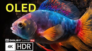 出色的杜比视界 4K HDR 60FPS - 珊瑚生活 - 4K 视频超高清